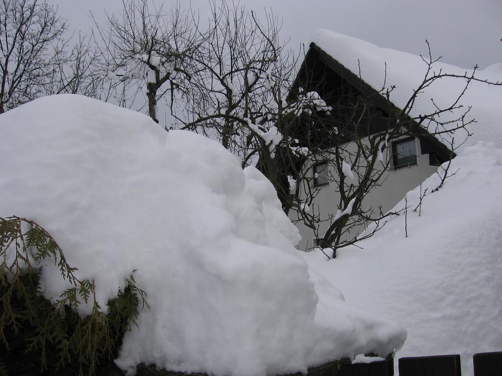 Apartament Nasa Hisa Bohinj Pokój zdjęcie